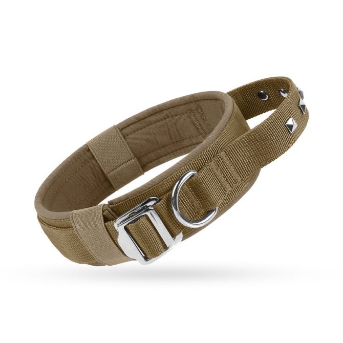 Collar Perro Mediano Grande Nylon Ajustable Caqui