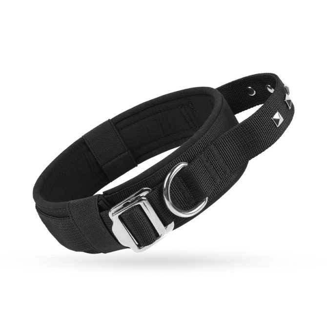 Collar Perro Mediano Grande Nylon Ajustable Negro