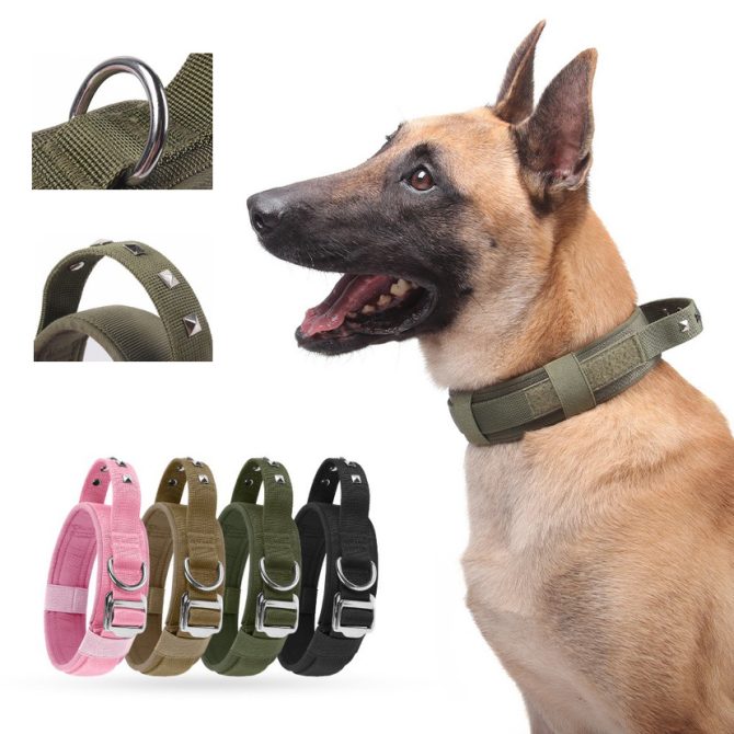 Collar Perro Mediano Grande Nylon Ajustable Rosa - Imagen 2