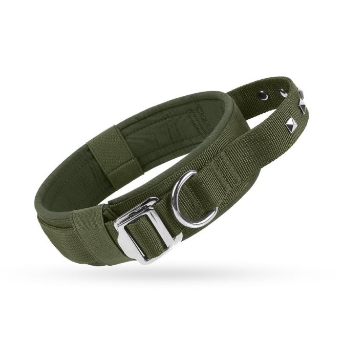 Collar Perro Mediano Grande Nylon Ajustable Verde Militar