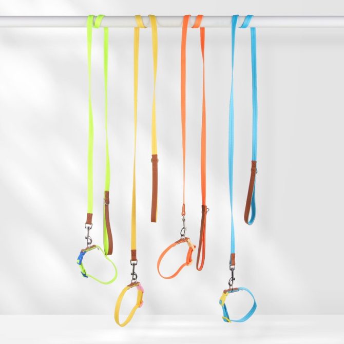 Set Correa + Collar para Perro Nylon Cuero Amarillo - Imagen 2
