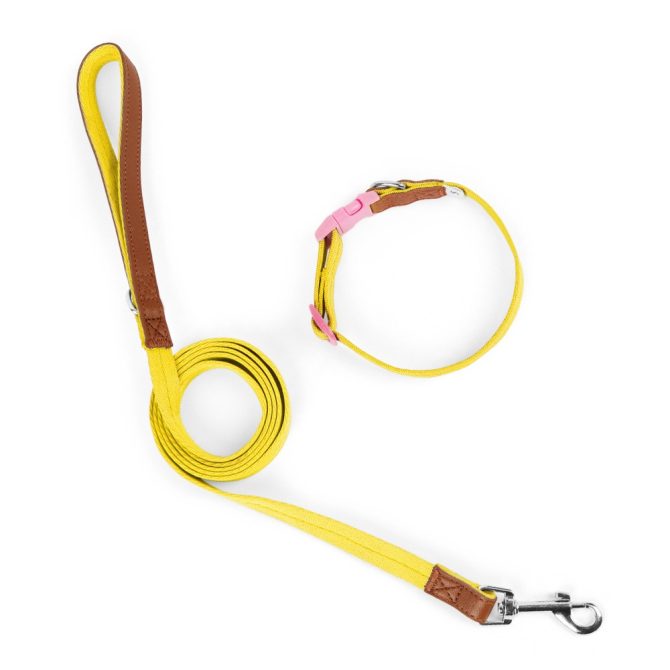 Set Correa + Collar para Perro Nylon Cuero Amarillo