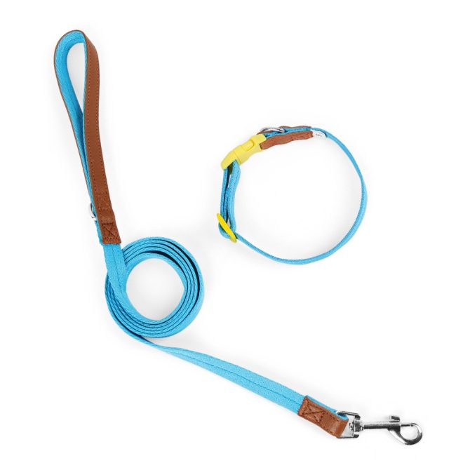 Set Correa + Collar para Perro Nylon Cuero Azul