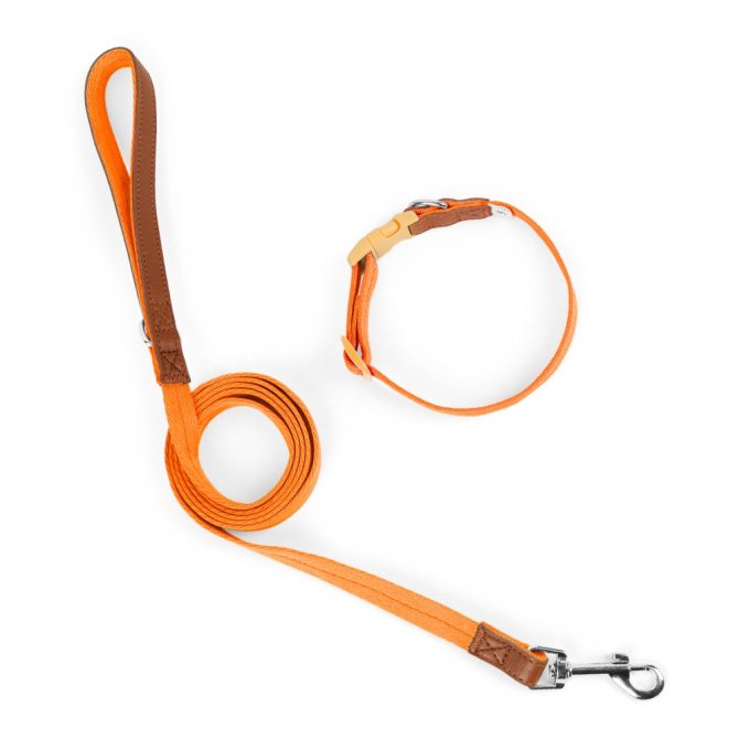 Set Correa + Collar para Perro Nylon Cuero Naranja