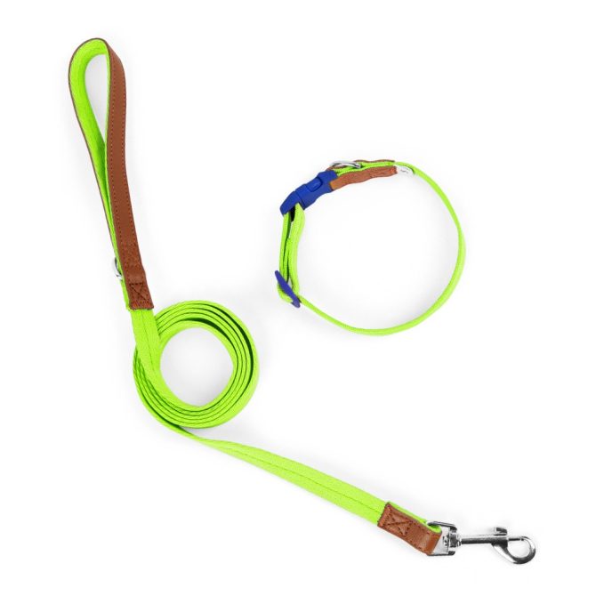 Set Correa + Collar para Perro Nylon Cuero Verde