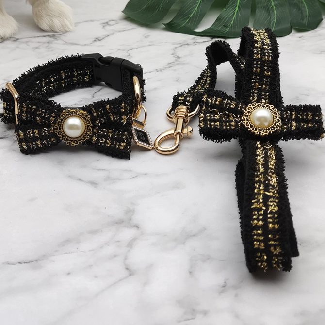 Collar de perro de moda para mascotas Negro