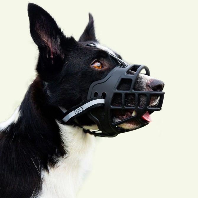 Bozal para perros antimordida antilamido para comida/bebida desordenada negro