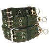 Collar de perro de tama?o ajustable Verde