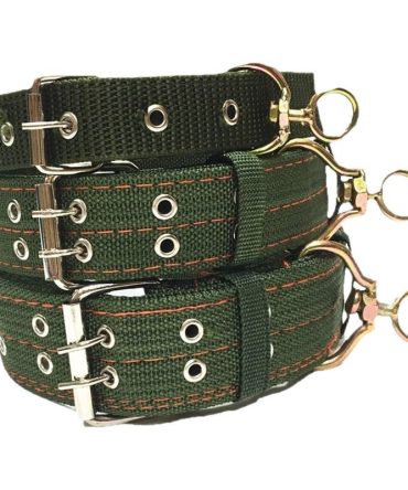 Collar de perro de tama?o ajustable Verde