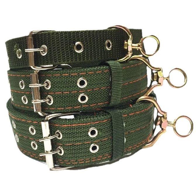 Collar de perro de tama?o ajustable Verde