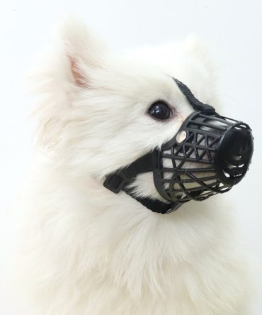 Bozal para perros antimordida antilamido para comida/bebida desordenada transpirable no abrasivo negro