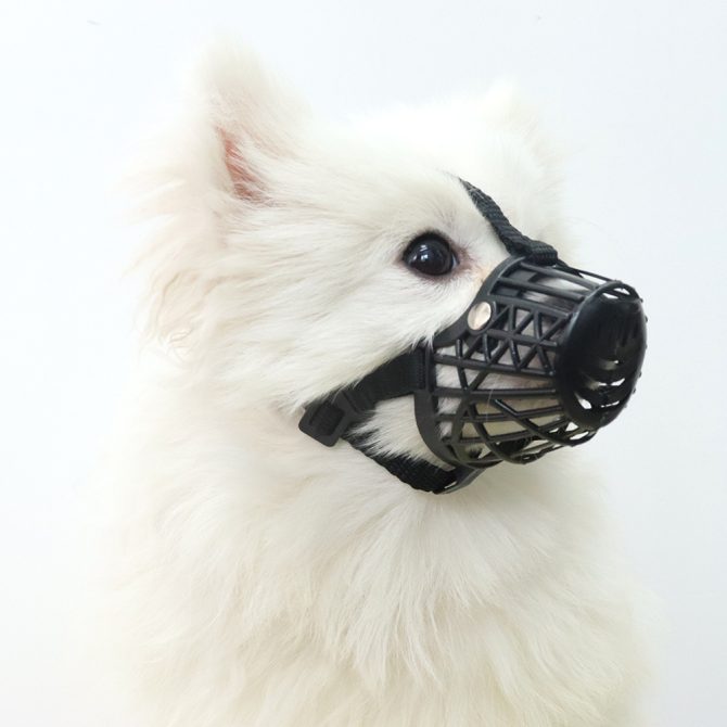 Bozal para perros antimordida antilamido para comida/bebida desordenada transpirable no abrasivo negro