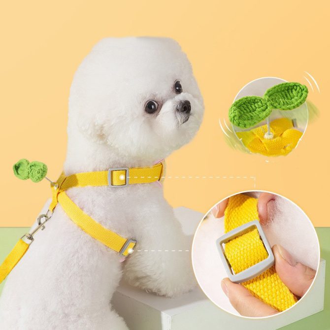 Arnés para Perros Transpirable con Linda Florecita Wiggly Azul - Imagen 2