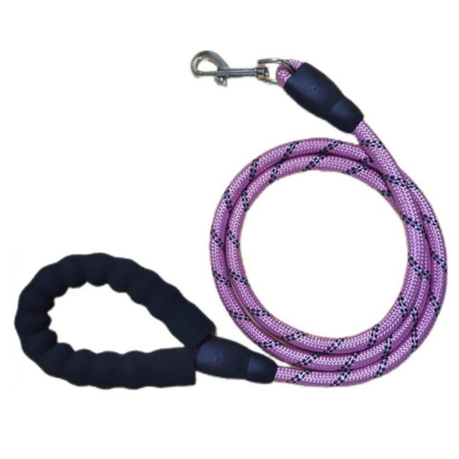 Correa para Perro Nylon 12 mm Cuerda Gruesa Morado